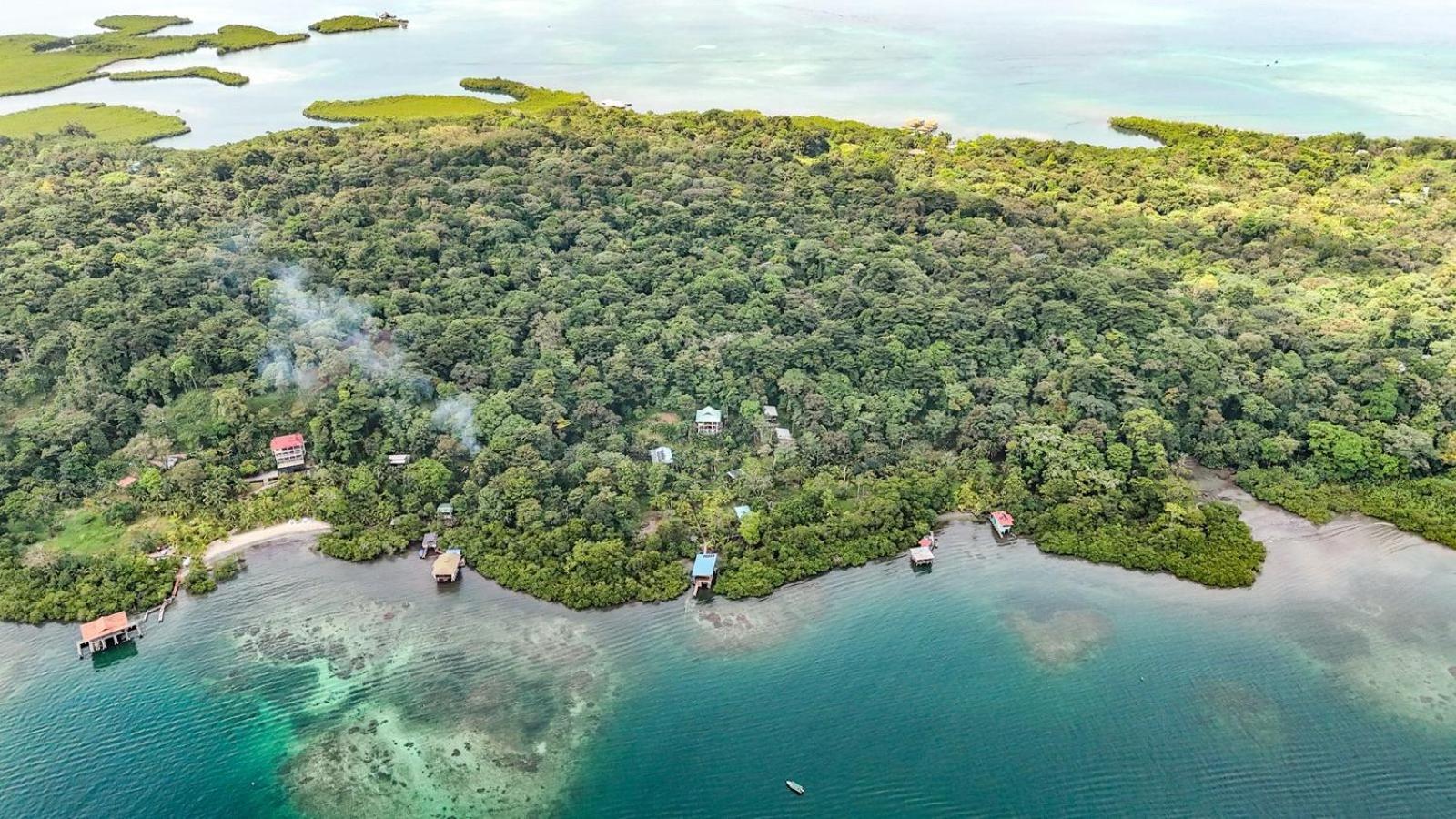 Roam Yoga & Wellness Lodge Bocas Town Dış mekan fotoğraf