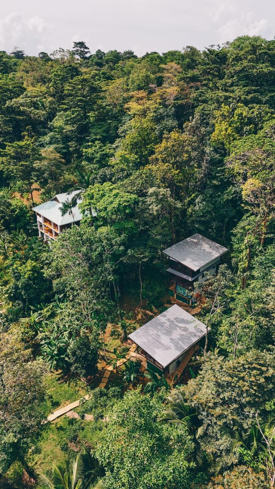 Roam Yoga & Wellness Lodge Bocas Town Dış mekan fotoğraf